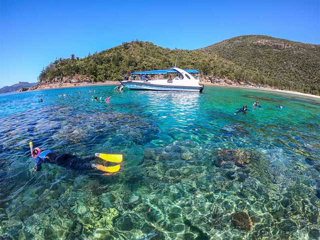 Guest snorkeling in coral