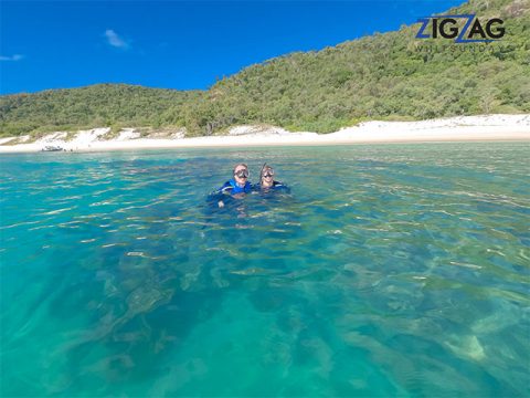 Inspiring 1 Day Airlie Beach Snorkeling Tour With ZigZag