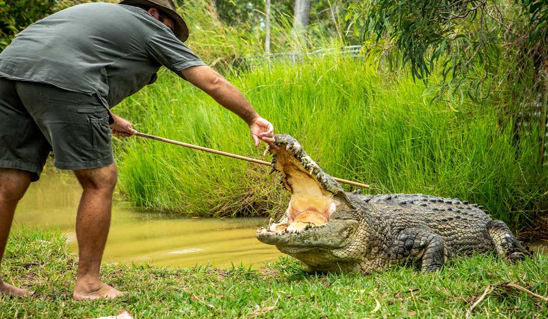 Bredls Crocodile Farm