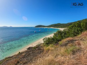 Zigzag whitsundays