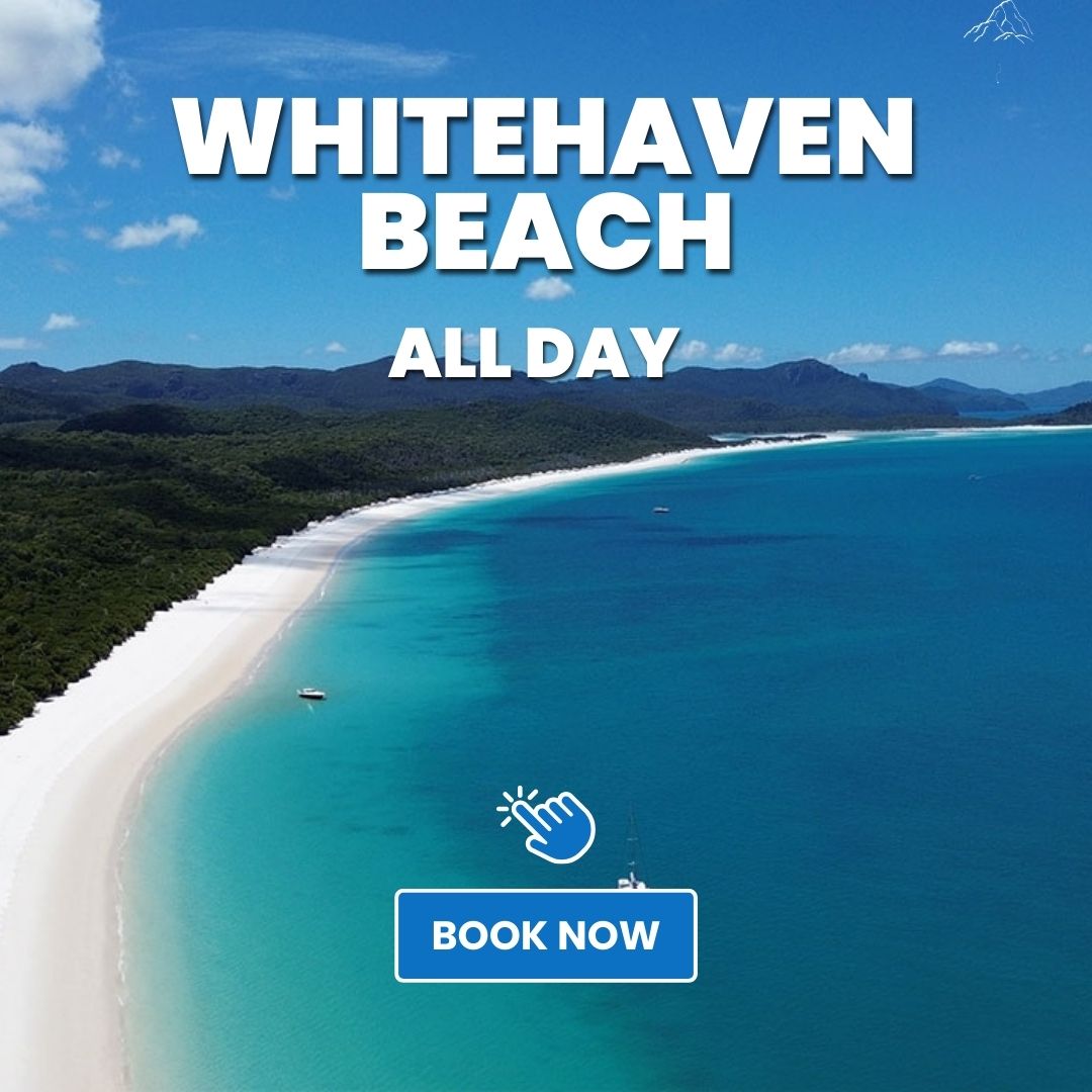 Zigzag whitsundays boat passing whitehaven beach