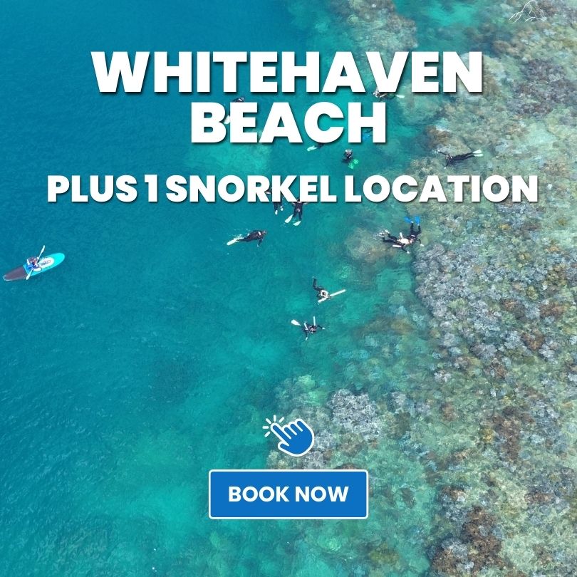 Whitehaven beach all day tickets