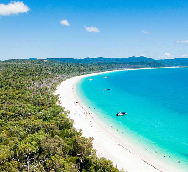 Zigzag whitsundays