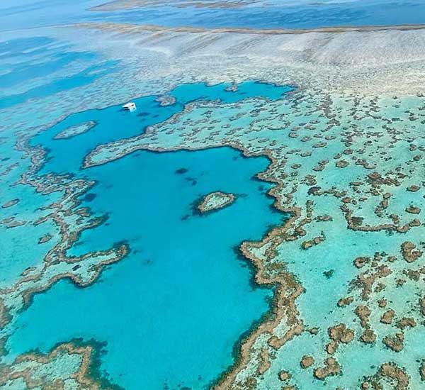 Heart reef whitsundays