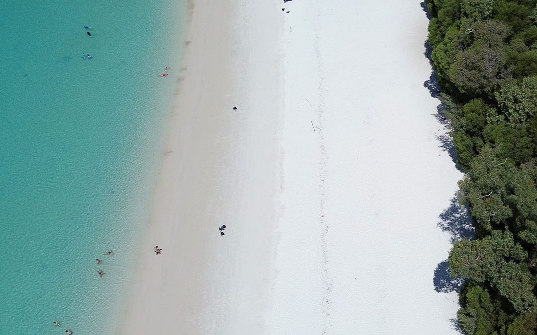 View over whitehaven beach from a drone
