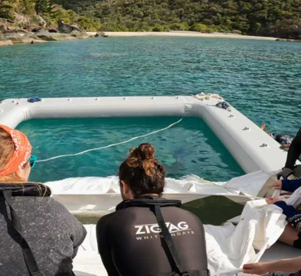 Zigzag whitsundays