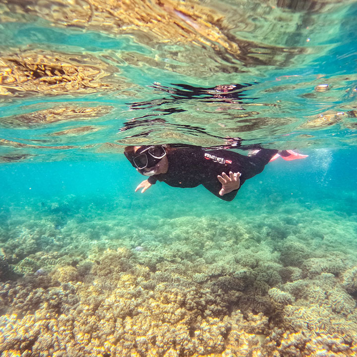 Snorkelling in the whitsundays Snorkelling over coral reef
