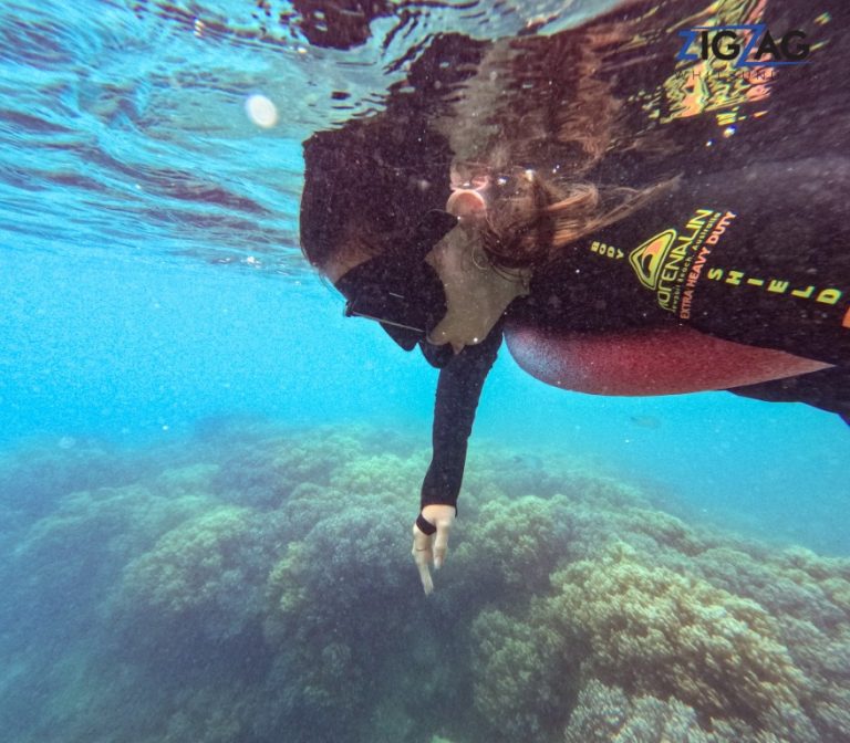 Snorkelling with zigzag whitsundays day tour