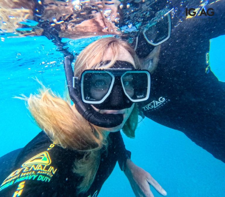 Snorkelling with zigzag whitsundays day tour