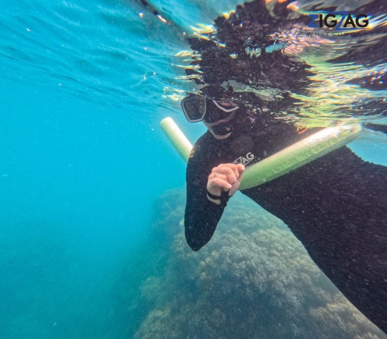 Snorkelling with zigzag whitsundays day tour