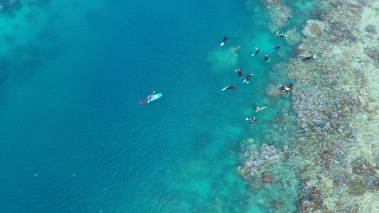 Snorkelling with zigzag whitsundays day tour