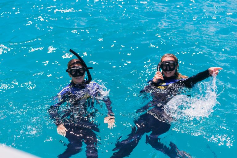 Snorkelling with zigzag whitsundays day tour