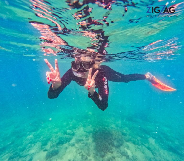 Snorkelling with zigzag whitsundays day tour