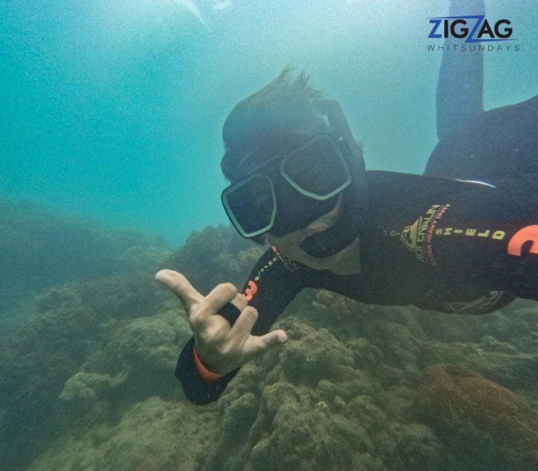 Snorkelling with zigzag whitsundays day tour