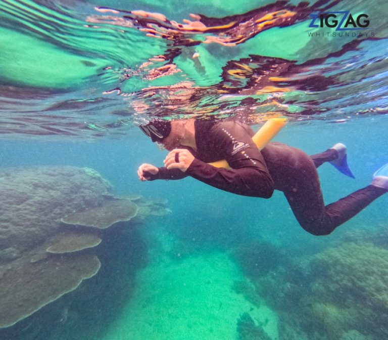 Snorkelling with zigzag whitsundays day tour
