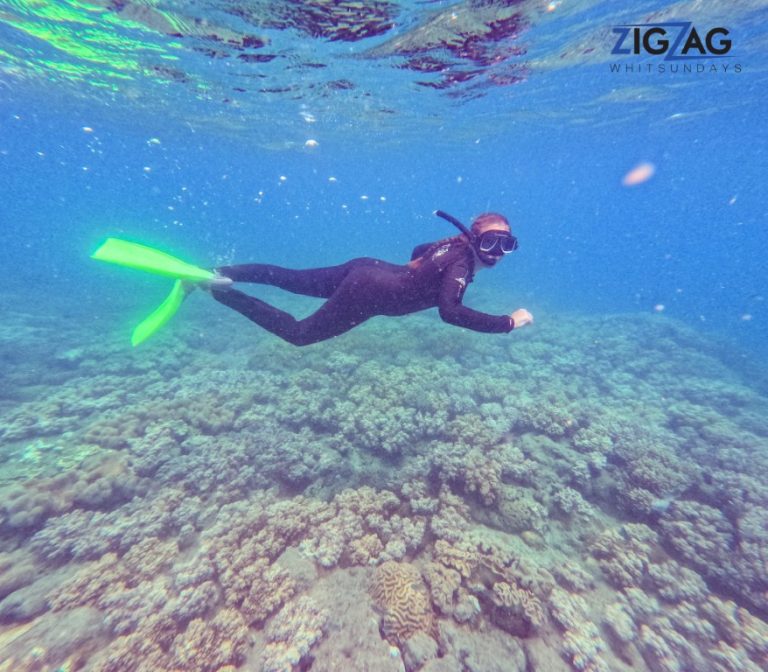 Snorkelling with zigzag whitsundays day tour