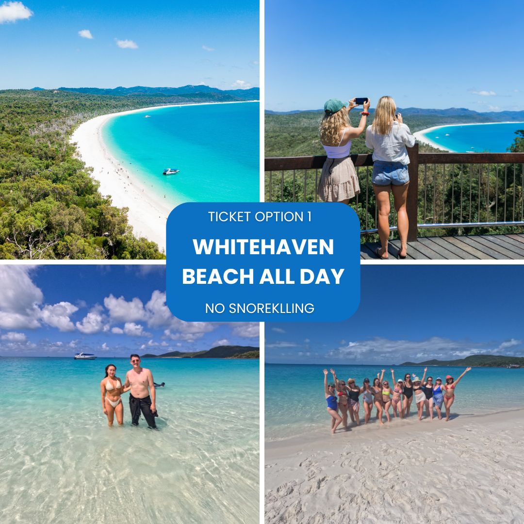 Ticket option 1 whitehaven beach all day