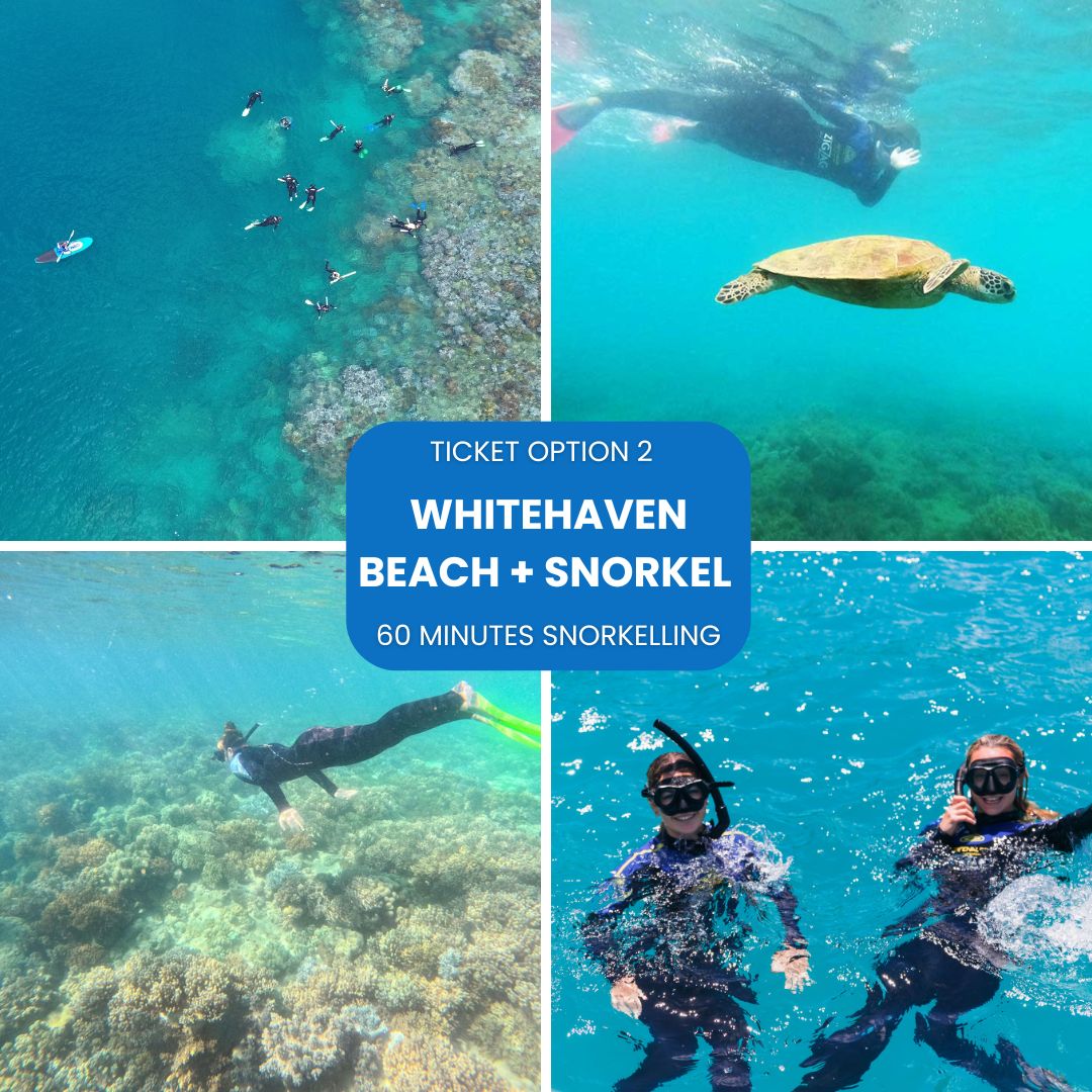 Ticket option 2 whitehaven beach plus snorkel